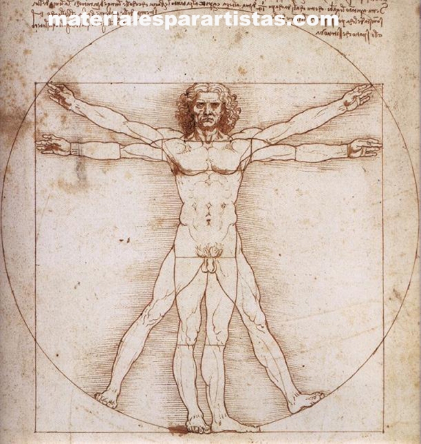 el hombre de vitruvio